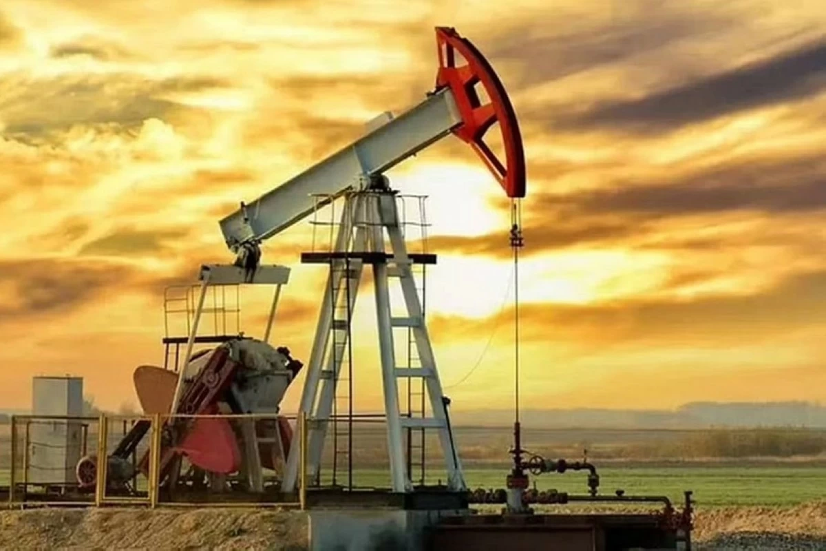 النفط يواصل خسائره بفعل زيادة المخزونات الأميركية