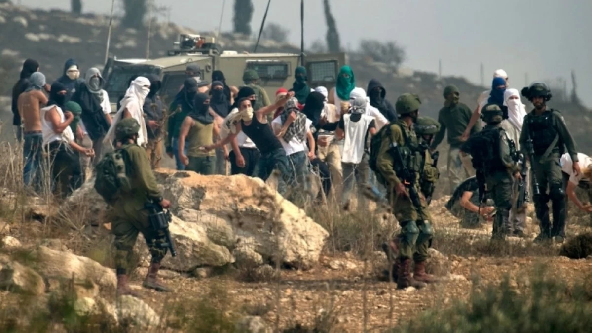 مستوطنون يحرقون أراضي زراعية شمال رام الله