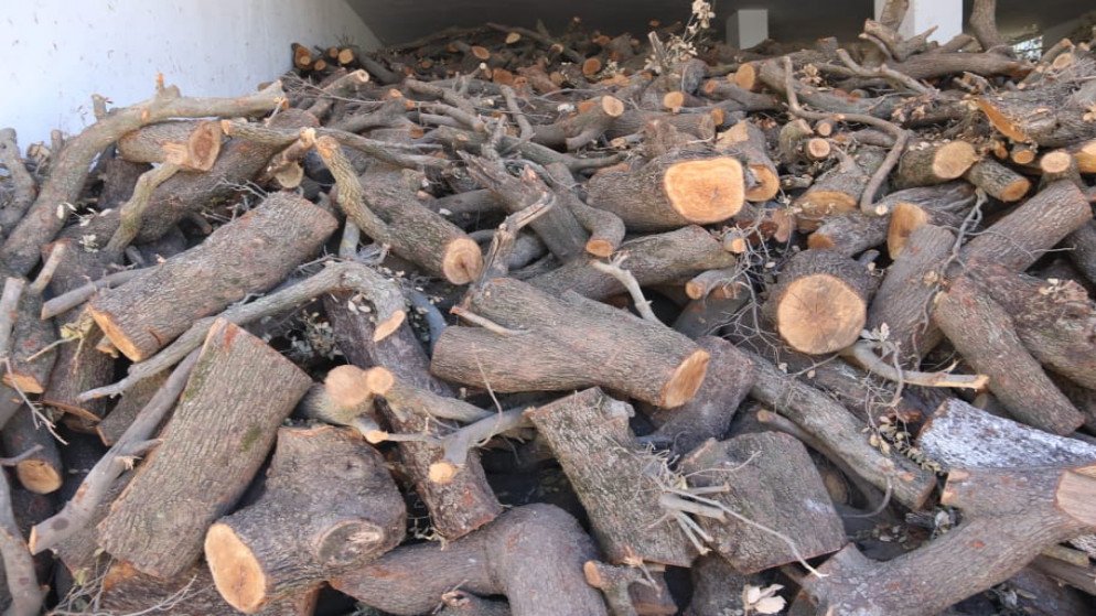 ضبط 8 أطنان من الأحطاب المقطوعة بطريقة مخالفة في جرش