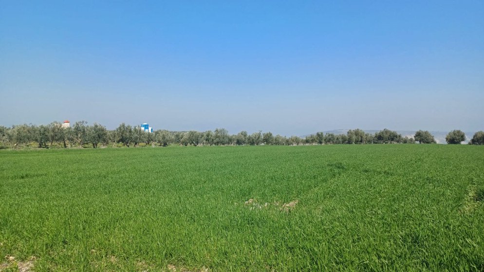 الجمعية الفلكية الأردنية: الاعتدال الربيعي يبدأ الجمعة 20 آذار