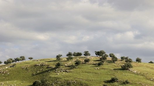 ارتفاع على الحرارة الجمعة وتوقع أمطار غزيرة في أماكن متفرقة من المملكة